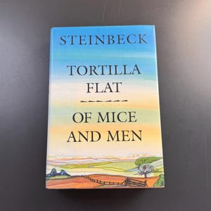 May include: A book titled Steinbeck Tortilla Flat Of Mice and Men with a cover featuring a watercolor landscape of rolling hills, a fence, and a tree under a blue and orange gradient sky. The text is printed in black serif font on the cover.