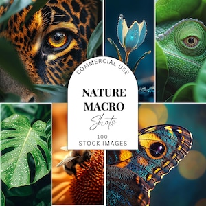 Macrophotographie de la nature - Photos de la faune - Fleurs, feuilles, insectes et dessins d'animaux - Images de la nature - JPEG haute résolution