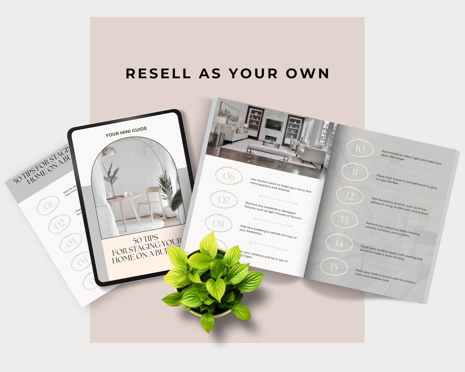 50 Tips for Staging Your Home on A Budget With Resell Rights, Real ... - Budget Conscious Home Staging Tips