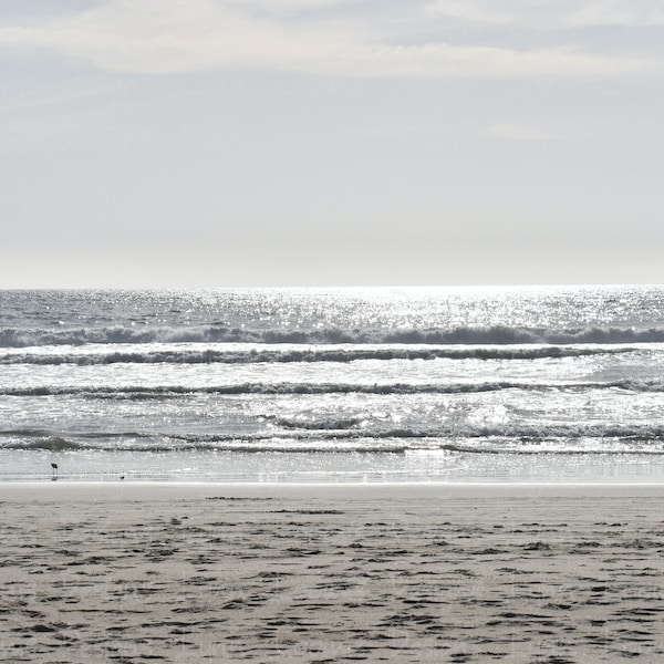 Silver Sky Ocean - digital download, Sand Dollar Beach California Ocean