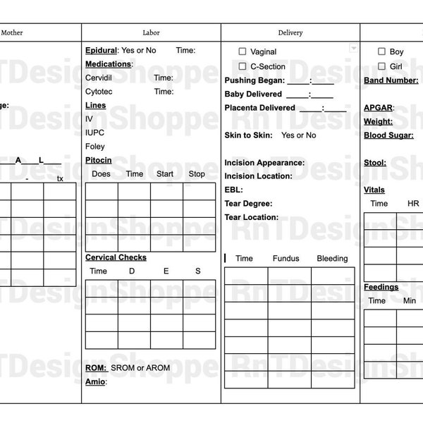 Nurse L&D Report Sheet, Brain, Digital Download, Nursing, Labor and Delivery Report Sheet, RN Report Sheet, L+D Brain, Nursing Report Sheet