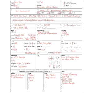 Nursing Report Sheet für MS oder IMC, Telemetrie, Gehirn, digitaler Download, Pflegegehirn, RN-Notizen, To Do, Patient New Grad, Nach Systemen