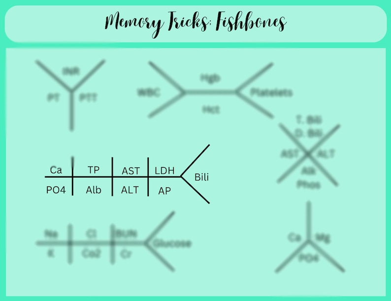 Nursing Lab Values Cheat Sheet: Memory Tricks & Fundamentals (PDF ...