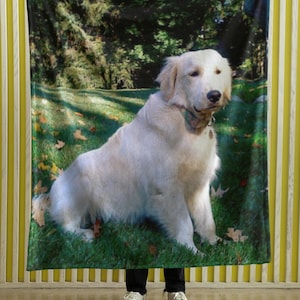 Custom Pet Photo Blanket, Custom Pet Photo, Cat Photo Gift, Photo Blanket, Gift for Pet Lover, Pet Mom Gift, Gift for Dog Lover