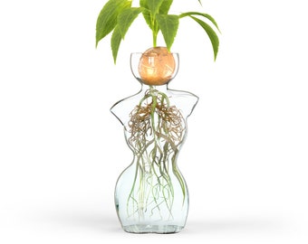 Glass Vase for Flowers or Plant Propagation in Unique Woman Body Form Design - Ideal for Water Rooting Bulbs Plants Seeds