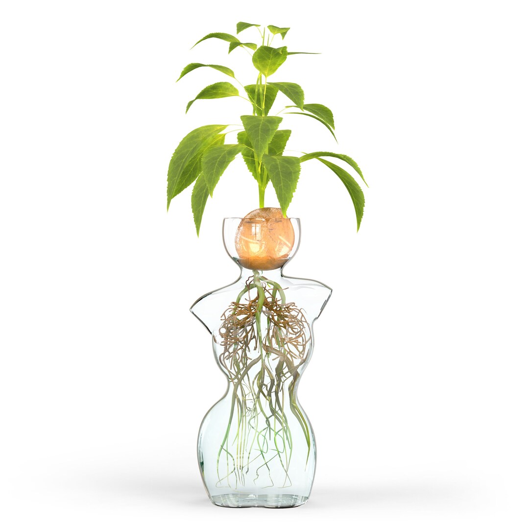 Glass Vase for Flowers or Plant Propagation in Unique Woman Body Form