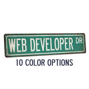 Web Developer Street Sign, Gift for Computer Programmer, Software Engineer, Website Design, Coding, Tech Gift, Computer Coding 104180021051