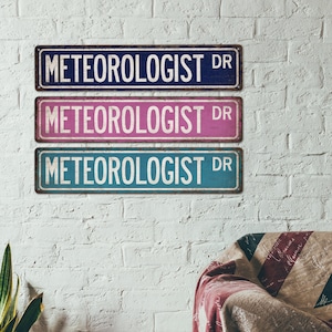 May include: Three vintage-style metal signs with the text "METEOROLOGIST DR" in white lettering. The signs are stacked vertically, with the top sign in blue, the middle sign in pink, and the bottom sign in teal.
