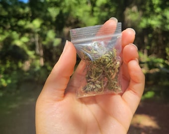 Dried Mini Herb Pack &quot;Do as I Say&quot; Ewe Emile - One, Small 2 inch Bag Dry