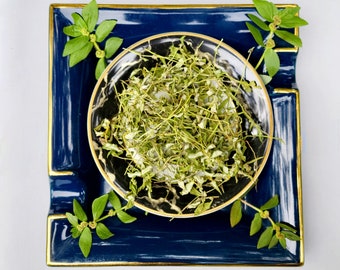Dried Do as I Say Ewe Emile Herb Tawa Tawa