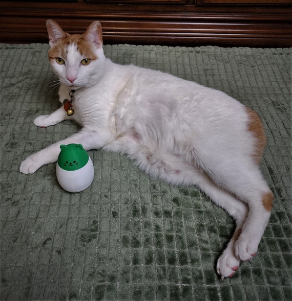 Mr. Wobbles: the Cat Treat Dispenser 