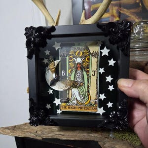 Shadow Box Art – The High Priestess Tarot with Real cicada & Gothic Frame