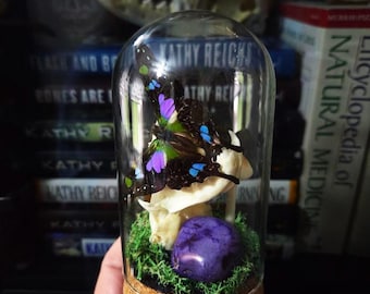 Gothic Nature Dome | Purple Butterfly & Mink Skull