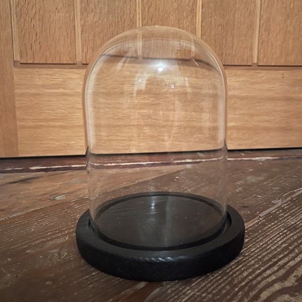 Glass dome with black wooden base |  15 v 13.5 cm (h, w) | medium | bell jar | glass cloche | decorative display | varnished hard wood