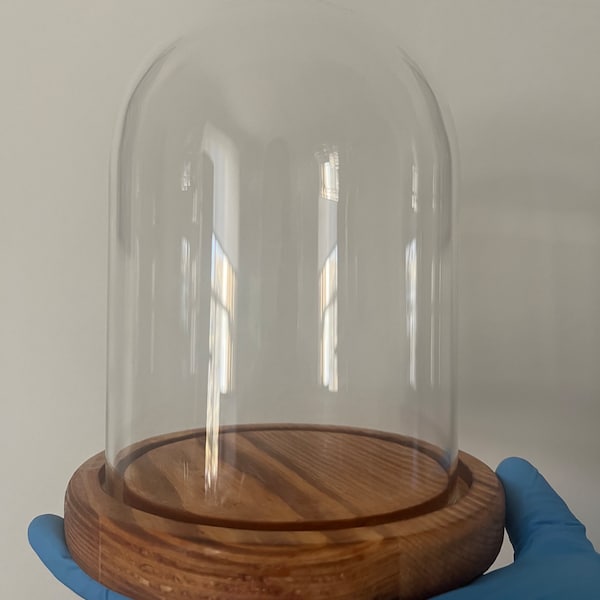 Dôme en verre avec base en bois dur clair de style vintage | 15 cm 13,5 cm (h, l) | moyen | cloche | cloche en verre | présentoir décoratif
