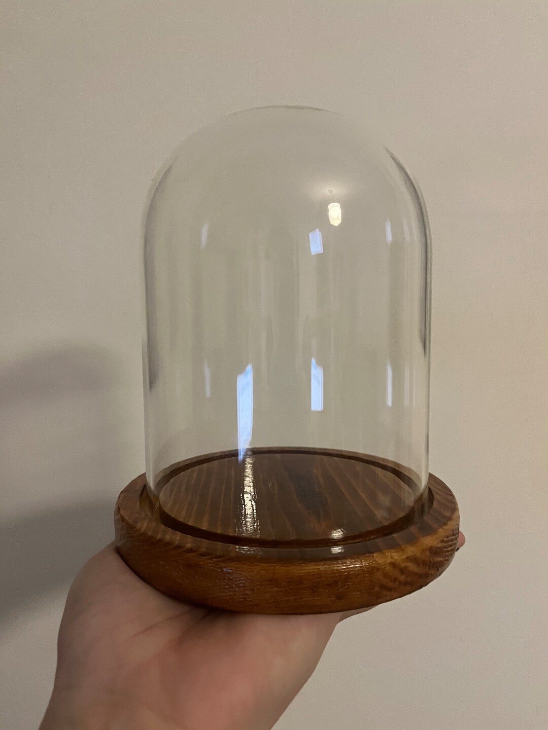 Glass Dome Vintage Effect Wooden Base 15 X 13.5 Cm h, W Medium Bell Jar