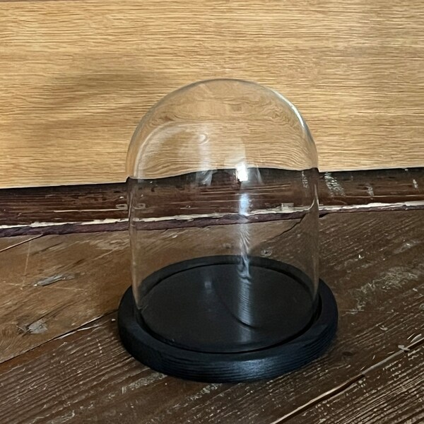 Large glass dome with black wooden base |  18 v 14 cm (h, w) | large black bell jar | glass cloche | decorative display | black oiled wood