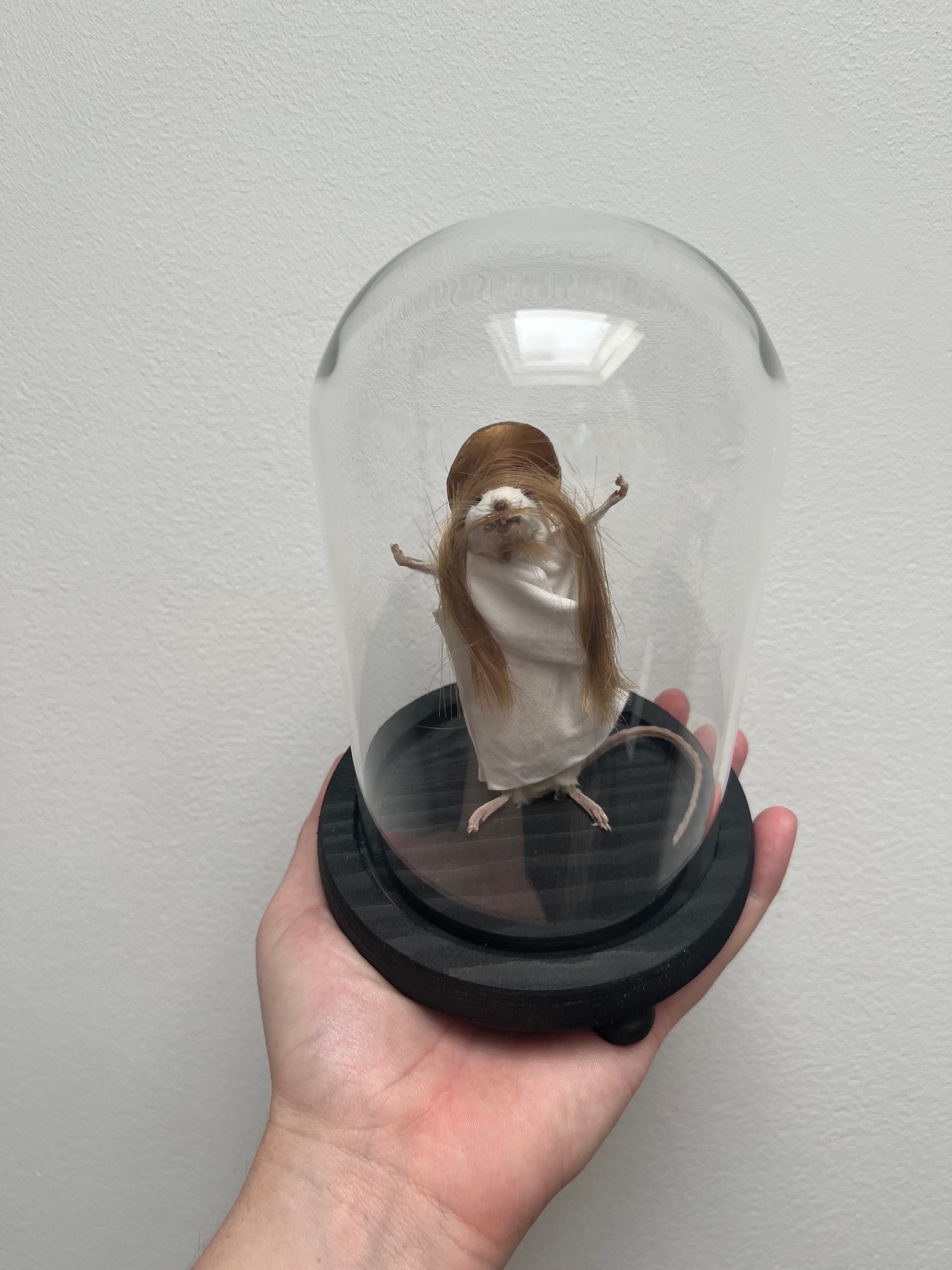 Taxidermy Mouse Jesus With a Halo Wearing a White Robe in a Glass Dome ...