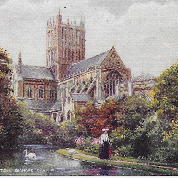 Vintage Postcard, Wells Cathedral, From Bishops Garden,  Oilette, Unposted, Swans Swimming