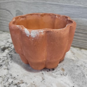 May include: A small, terracotta-colored flower pot with a scalloped rim. The pot has a rounded, textured exterior and a light-colored patch on the rim. The pot is sitting on a speckled white and gray surface.