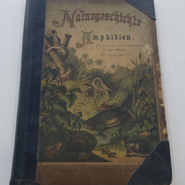 1876 Natural History of Amphibians Fish Shellfish Reptiles German Edition J. F. Schreiber Antique Illustrated Color Plates / Animal Kingdom