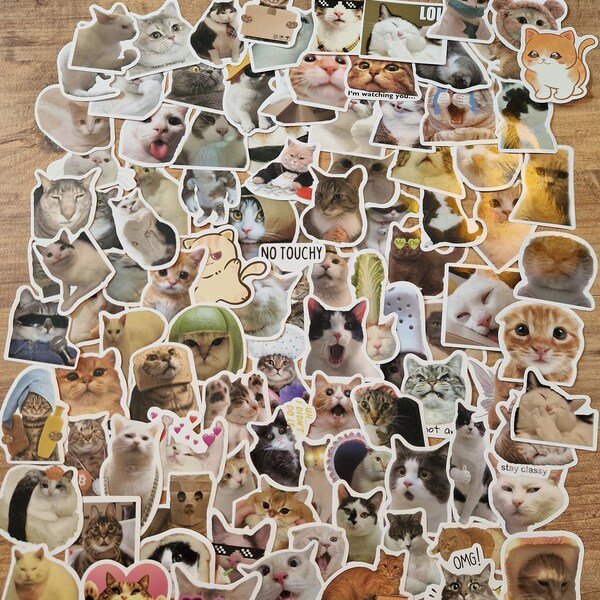 100 Katzen Aufkleber Laptop Sticker Pack