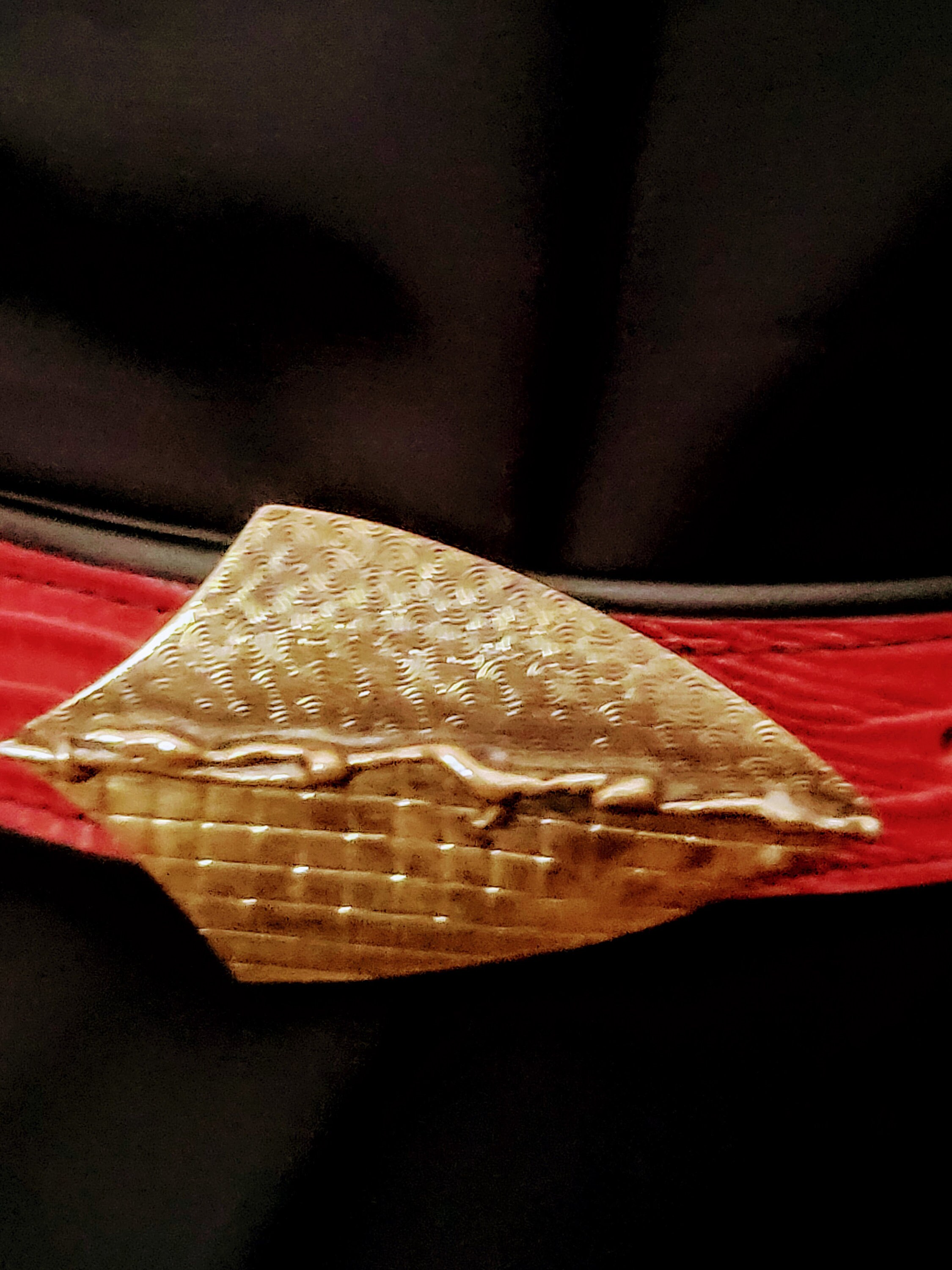 QUIN Vintage Red Croc Embossed Belt With Unique Cast Bronze 