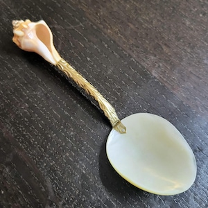 May include: A decorative spoon featuring a large, iridescent white mother-of-pearl bowl attached to a textured, gold-toned metal handle. The handle terminates in a small, natural spiral seashell with cream and light brown colorations.