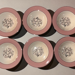 Vintage Set of 6 Homer Laughlin Cavalier Eggshell Pink Spring Floral 6”  Dessert Bowls