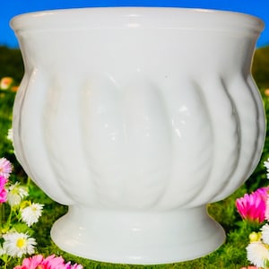 May include: A white, decorative planter with a pedestal base. The planter has a rounded shape with vertical, ribbed detailing. The background features a vibrant display of colorful flowers and greenery, set against a blue sky.
