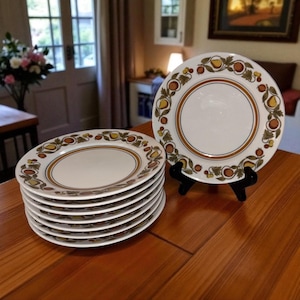 Vintage Set of 8 Franciscan Whitestone Ware Pickwick Bread Plates Japan 1960’s Retired
