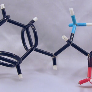 ChemKits Framework Molecular Micro-Molecule Model of Phenylalanine