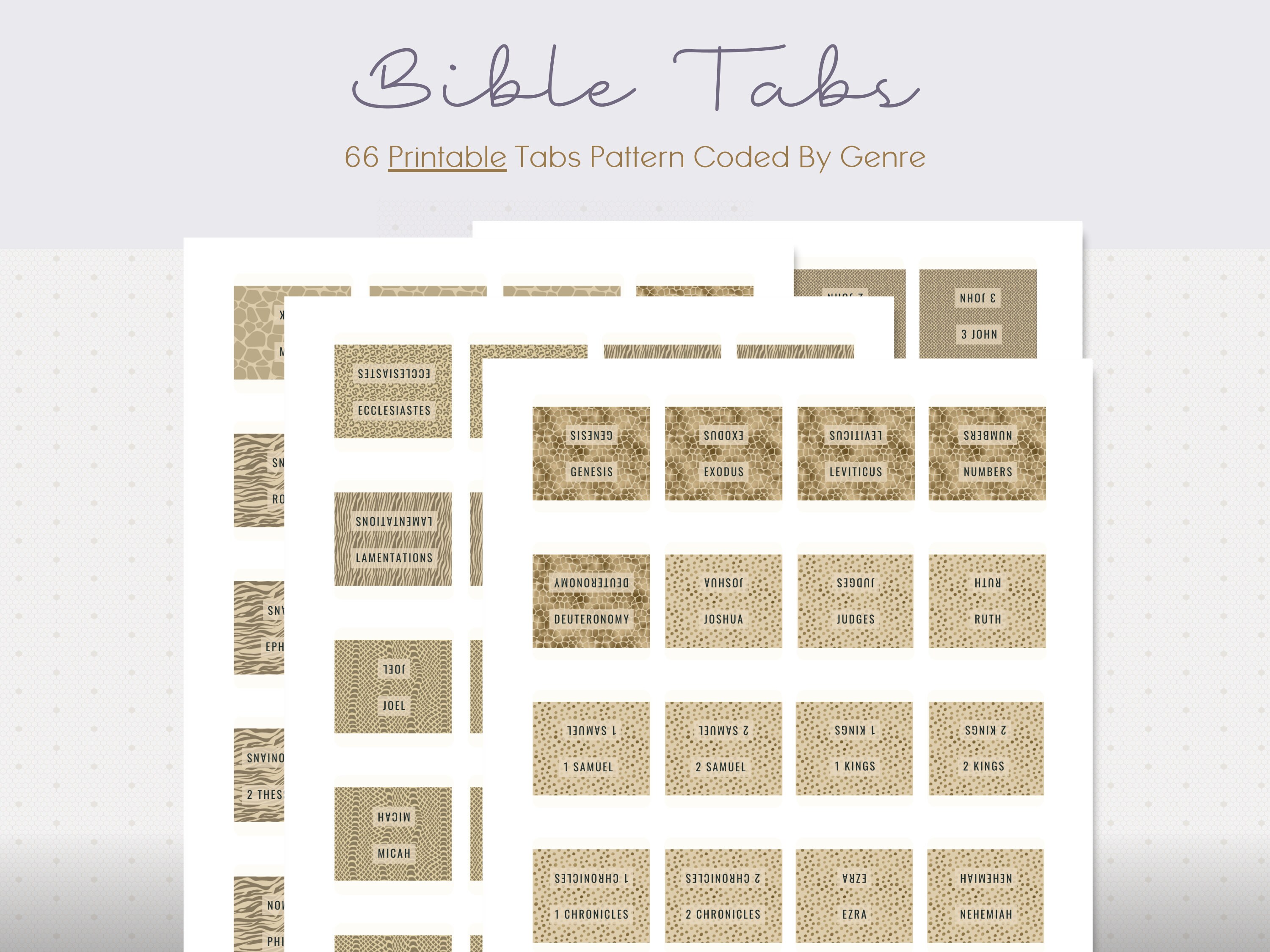 Fichas Bíblicas Adhesivas Laminadas Estilo Boho - 75 Etiquetas Grandes Y Resistentes Para Organizar Tu Biblia Fácilmente