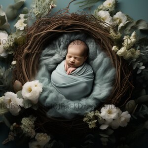 Newborn Digital Backdrop Photography, Face Insert Baby Digital Background for Girl, Add face Digital Photo Prop Composite, Floral Backdrop