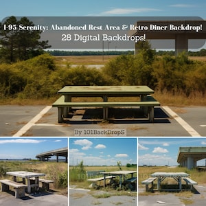 May include: A green picnic table with two benches sits in an abandoned rest area along a highway. The table and benches are made of wood and metal. The rest area is overgrown with grass and weeds. The highway is visible in the background.