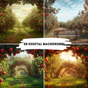 May include: A digital backdrop featuring four different scenes of an apple orchard. The scenes include a path through the orchard, a bench under the trees, and two different views of an archway of apple trees.