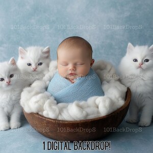 Mysig kattvagga - Fluffig digital bakgrund för nyföddfotografering - 8K-upplösning - Babyfotograferingsrekvisita med kattungar