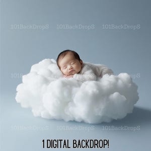 May include: A newborn baby sleeping on a white fluffy cloud against a light blue background. 1 DIGITAL BACKDROP!