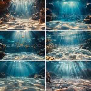 May include: A digital backdrop featuring four underwater scenes with sunbeams shining through the water. The scenes include a sandy bottom with rocks, a sandy bottom with rocks and fish, a sandy bottom with rocks and a rocky bottom with pebbles.