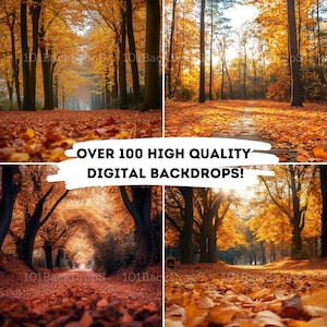 May include: Four digital backdrops featuring a path through a forest with golden leaves in autumn. The text "Over 100 High Quality Digital Backdrops!" is superimposed on the image.
