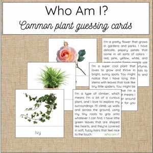 Qui suis-je ? Cartes à deviner plantes