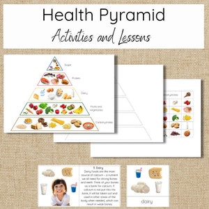 Food Pyramid - Health