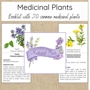 Medicinal Plants
