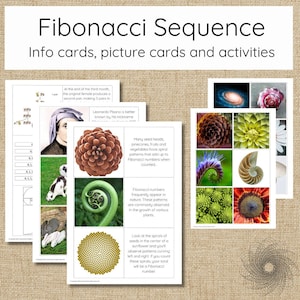 May include: A set of printable cards featuring the Fibonacci sequence. The cards include illustrations of pinecones, sunflowers, seashells, and ferns, all of which exhibit the Fibonacci spiral pattern. The text on the cards explains the Fibonacci sequence and its presence in nature.