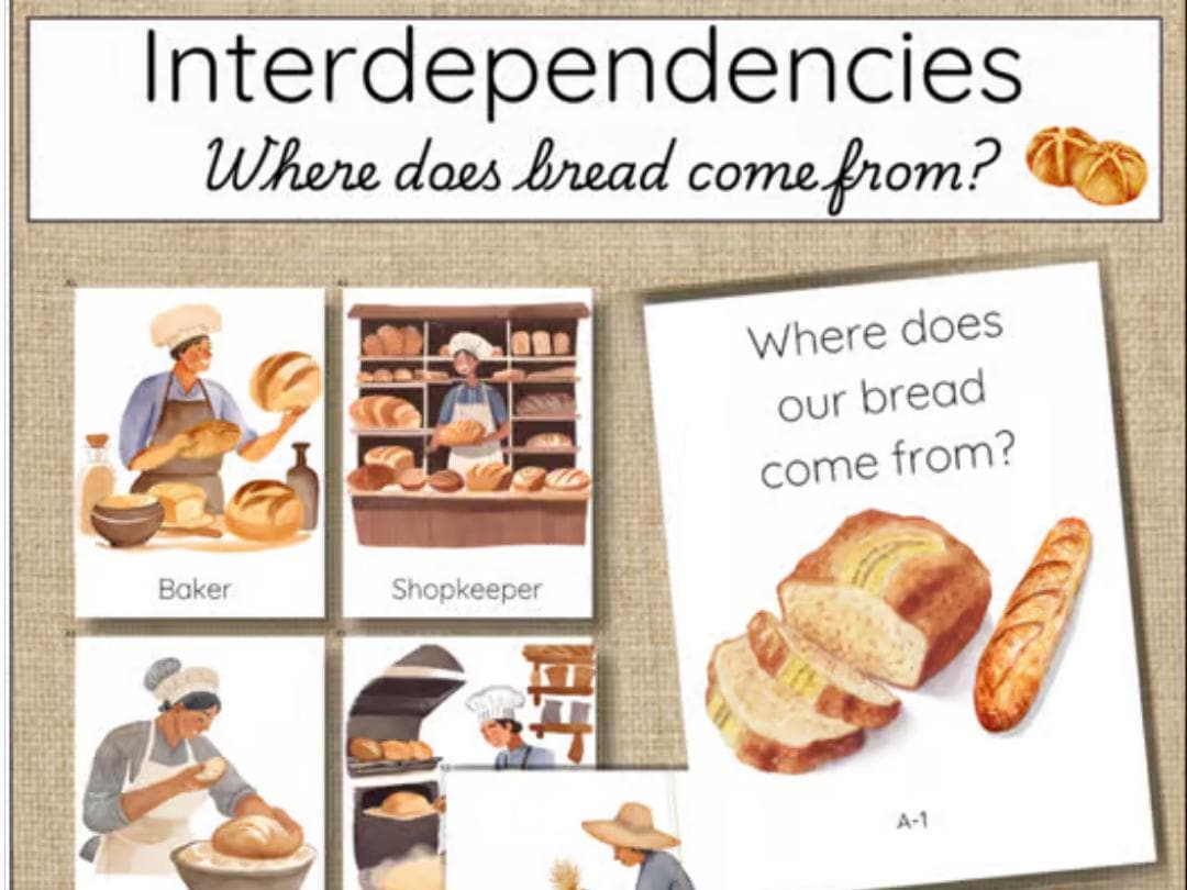 Interdependency - Where Does Our Bread Come From? A1 - Etsy