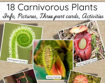 May include: Educational poster featuring images of carnivorous plants, including the Venus Flytrap and Tropical Pitcher Plant. The title reads "18 Carnivorous Plants" with additional text: "Info, Pictures, Three part cards, Activities."