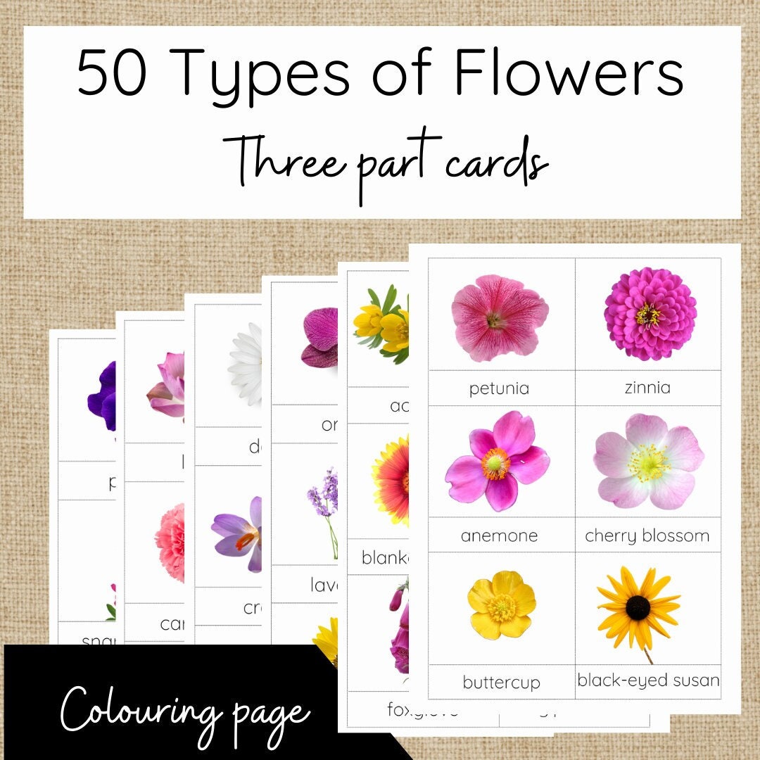 50 Types of Flowers