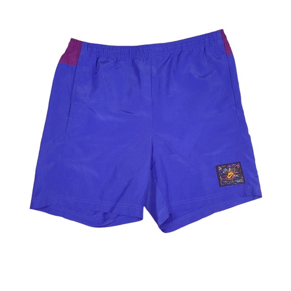 Vintage Nike Blue Purple Color Block Nylon Shorts… - image 1