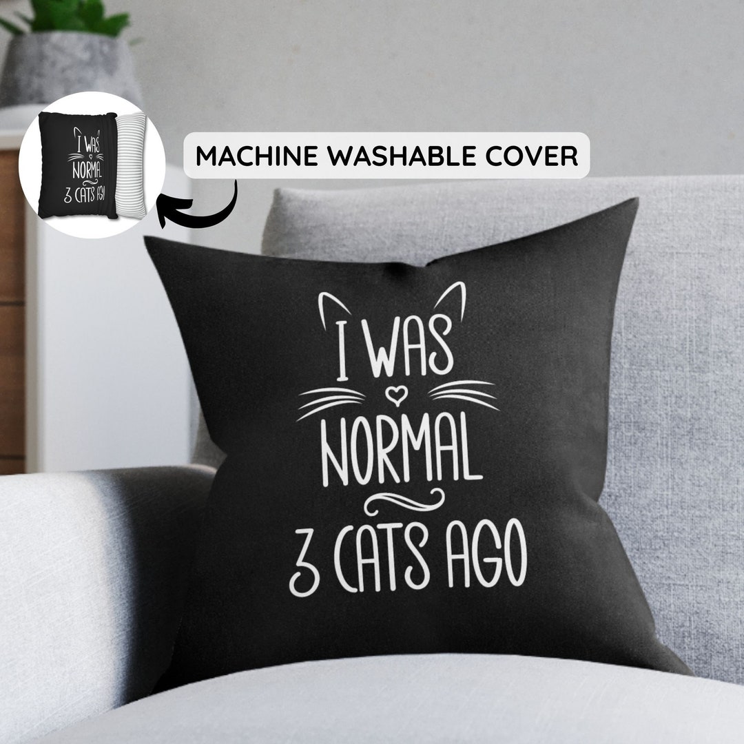 Funny Cat Pillow Gift for Cat Mom or Cat Dad, Cute Cat Throw Pillow