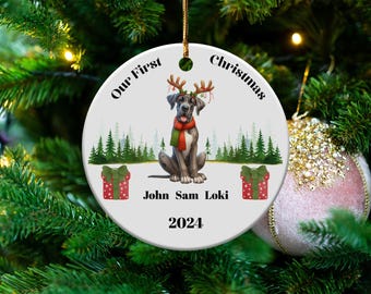 Personalized Dog First Christmas Ornament 2024 Custom Pet Name Ornament Holiday Decoration Cute Pet Keepsake